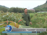 文章附圖