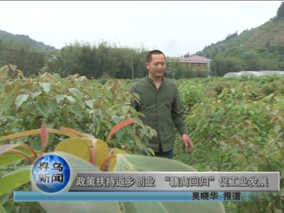 文章附圖